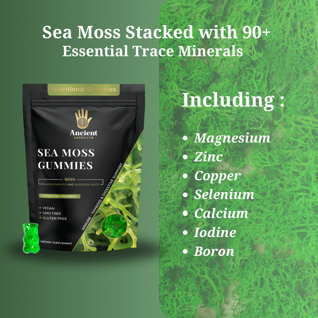 Sea Moss Gummies Apple Flavour